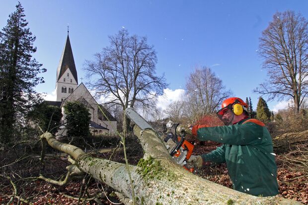 Rodungsarbeiten des Echthausener Landschaftsbau-Betriebes Stute auf dem Baugrundstück für das neue Pfarrheim an der St.-Antonius-Kirche in Wickede. FOTO: ANDREAS DUNKER