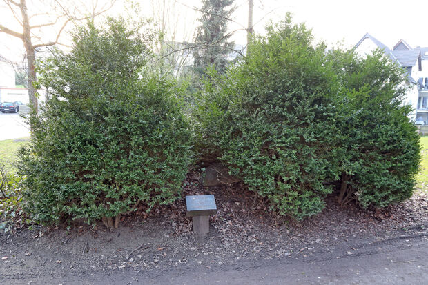 Dunkle Ecke: der Nachbau eines historischen Hügelgrabes im Lanferbachtal. FOTO: ANDREAS DUNKER