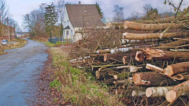 Der neue Besitzer des zirka 3.500 Quadratmeter großen Gewerbegrundstücks an der Marscheidstraße in Wickede hat die im Laufe der Jahre mit Bäumen und Büschen zugewucherte Fläche bereits gerodet. Darüber welche Pläne er mit der zum Jahresende 2021 erworbenen Immobilie hat, will sich der Privatmann aus Wickede (Ruhr) noch nicht öffentlich äußern. FOTO: ANDREAS DUNKER