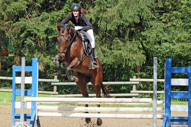 ARCHIVFOTO: ANDREAS DUNKER