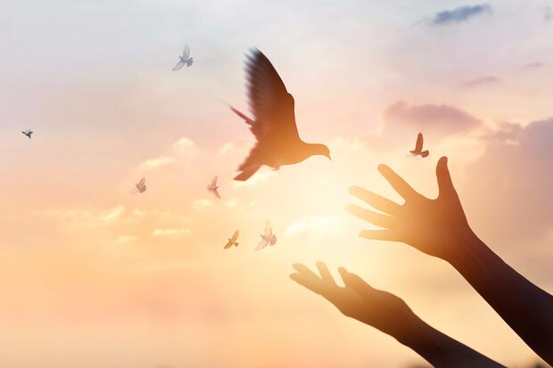 FOTO: IPOPBA- FOTOLIA