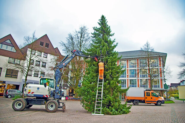 Nachdem der Weihnachtsbaum mit Holzkeilen in der Halterung auf dem Marktplatz fixiert ist, löst Bauhof-Mitarbeiter Frank Sattler das Befestigungsseil vom Baum, sodass Kollege Georg Disselkötter die Serbische Fichte nicht mehr am Haken seines Mobilbaggers hängen hat. FOTO: ANDREAS DUNKER