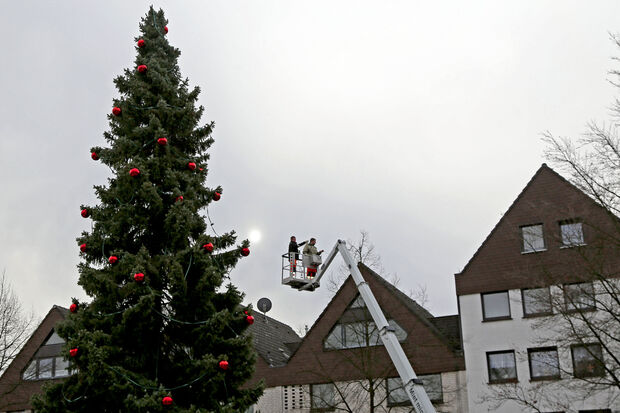 Mitarbeiter des Bauhofes Wickede montieren die Lichterketten in den Bäumen auf dem Wickeder Marktplatz FOTO: CARINA WESTERWELLE