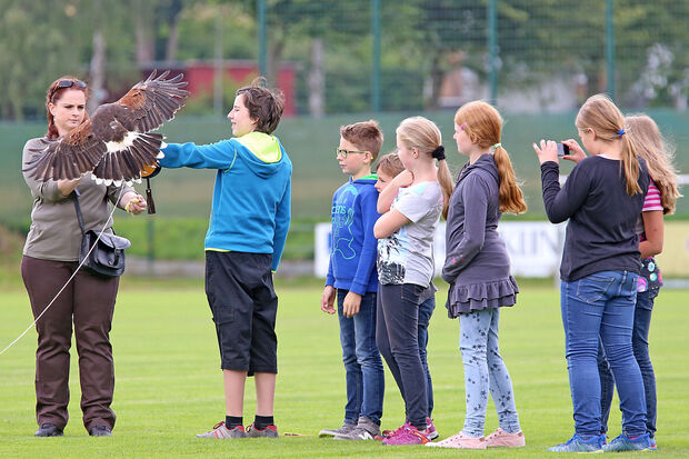 Staunende Kinder bei einer Flugschau mit einem Greifvogel FOTO: ANDREAS DUNKER