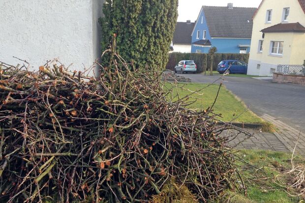 Zur Abholung durch die kommunale Müllabfuhr bereit gelegter Strauchschnitt an der Blumenstraße in Wickede ARCHIVFOTO: ANDREAS DUNKER